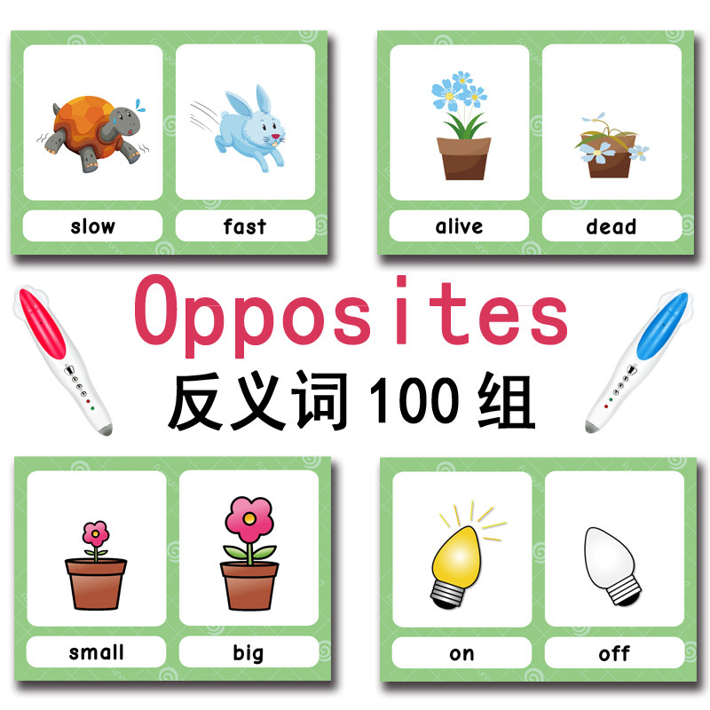 The 100 Groups Opposites Flash - Board Game Education 评论和价格