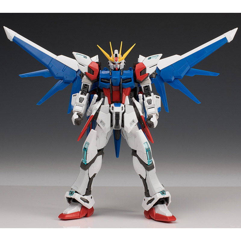 RG1/144 Build Strike Gundam Fu - Bandai Model Gundam Rg 评论和价格